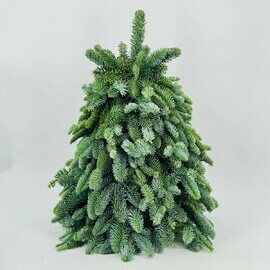 Новогодняя ёлочка 50 см из веток натурального нобилиса ручной работы для декорирования