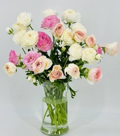 25 nezhnih ranunkulyusov. ZHivie tcveti dlya doma