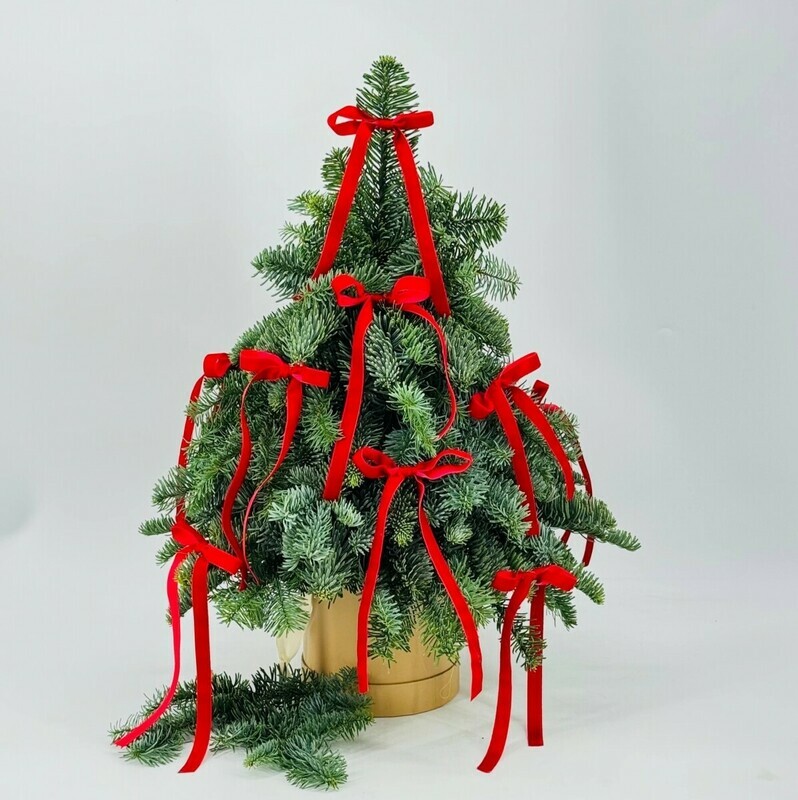 Ёлка живая ручной работы из веток натурального нобилиса 50 см. Новогодний декор, стандартный