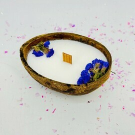 Inter_ernaya svecha v kokose iz premial_nogo soevogo voska. Podarochnaya svecha