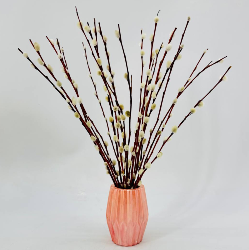 Verba zhivaya krasnotalka 30 sm v vaze iz gipsa ruchnaya rabota. Verbnij pashal_nij buket, standart