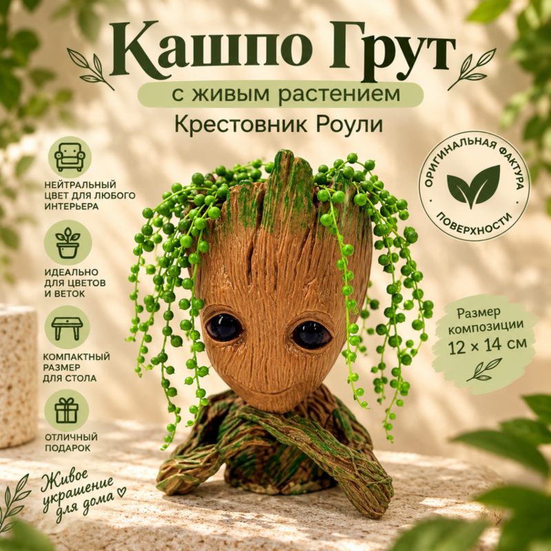 Украшение интерьерное кашпо Грут с редким растением Крестовник Роули, стандартный
