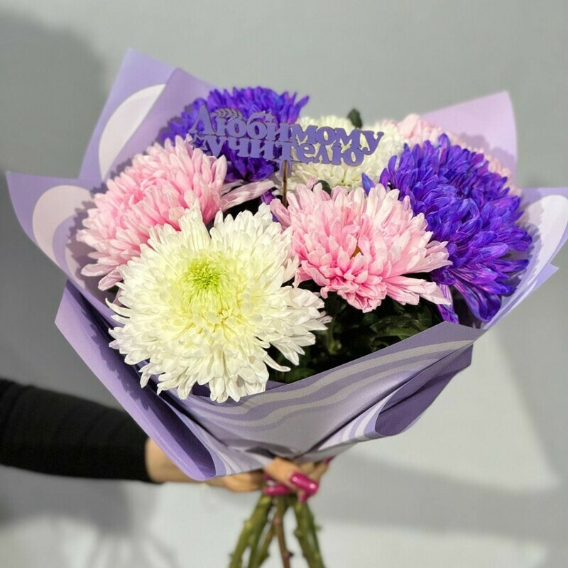 7 гигантских хризантем для учителя. Одноголовые хризантемы, стандартный