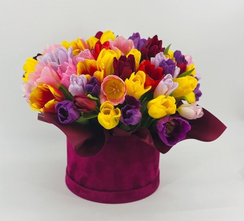 Коробка с разноцветными тюльпанами 75 шт, стандартный