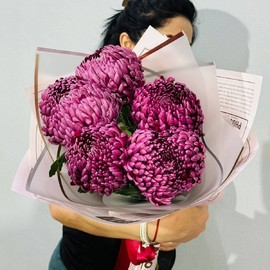 7 крупных хризантем премиум Бигуди