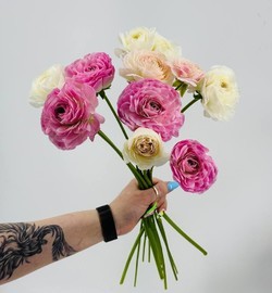 Цветы нежные ранункулюсы 11 шт. Букет лютиков для девушки, женщины