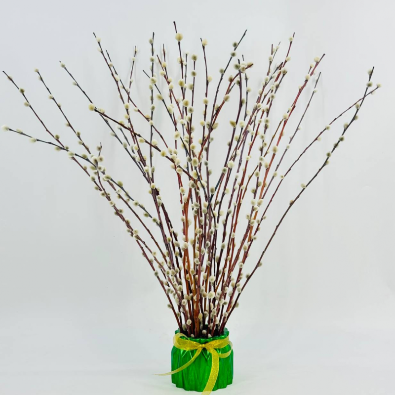 Букет из вербы в вазе ручной работы. Пасхальная композиция. Верба живая красноталка, стандартный