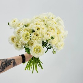 Nezhnie belie ranunkulyusi. Buket iz 35 ranunkulyusov dlya lyubimoj devushki