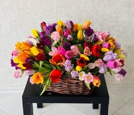 141 разноцветный тюльпан премиум в корзине