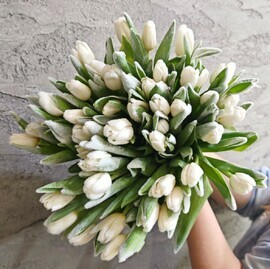 Buket iz 45 belih snezhnih tyul_panov premium. TCveti na den_ rozhdeniya, 8 marta