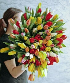 Огромный букет из 101 разноцветного тюльпана. Цветы тюльпаны микс