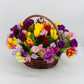 Korzina s tyul_panami miks premium 121 sht