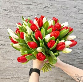 Buket iz 45 tyul_panov. Belie i krasnie tyul_pani na 8 marta
