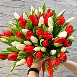 55 krasnih i belih tyul_panov. TCveti tyul_pani na 8 marta. Buket dlya mami