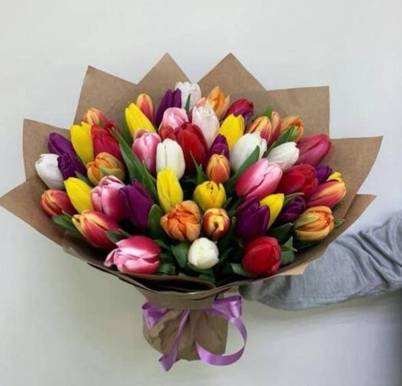 Tyul_pani miks premium 43 sht, standart