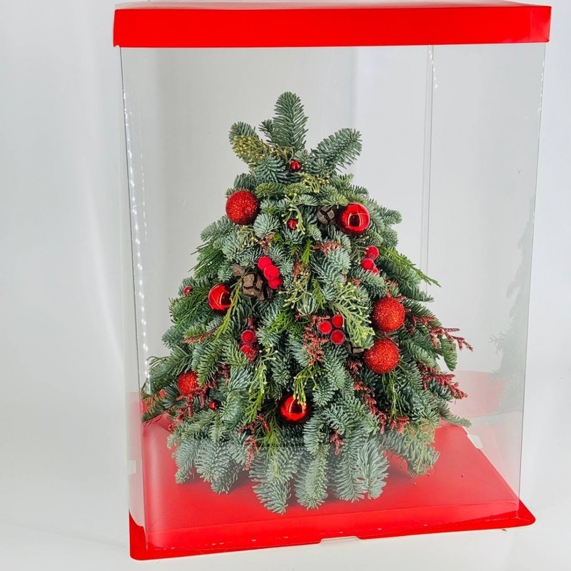 Novogodnyaya yolochka 35 sm iz nobilisa v podarochnoj panoramnoj korobkekorobke, standart