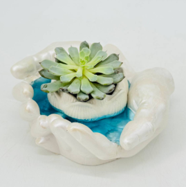 Inter_ernaya kompozitciya sukkulent v kashpo "Ruki Davida" s iskusstvennim vodoyomom