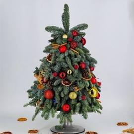 Ёлочка новогодняя из натурального нобилиса 50 см
