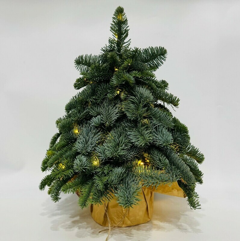 YOlochka 60 sm ruchnaya rabota iz vetok datskoj eli nobilis so svetodiodami, standart