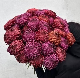 Огромный букет из 39 одноголовых хризантем Бигуди