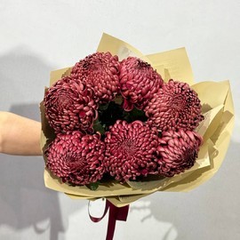 Хризантемы премиум Бигуди цвета марсала