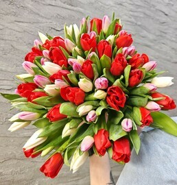 Большой букет из 75 тюльпанов микс. Цветы тюльпаны на 8 марта