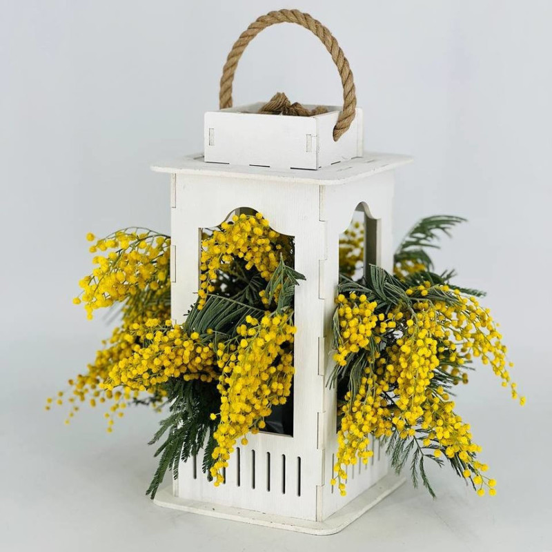 TCvetochnij fonar_ s mimozoj, standart