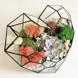 Florarium bol_shoe serdtce s sukkulentami