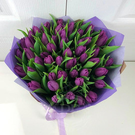 Большой букет фиолетовых тюльпанов премиум