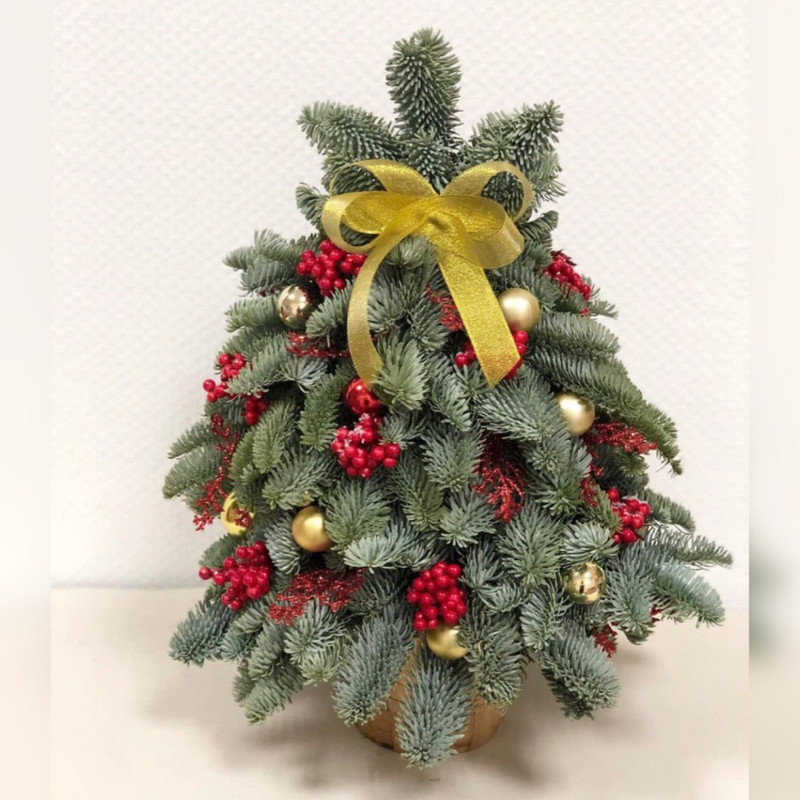 Настольная композиция ель новогодняя 40 см. Ёлочка из нобилиса, стандартный