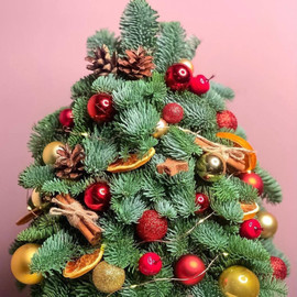 Elochka novogodnyaya iz nobilisa 50 sm