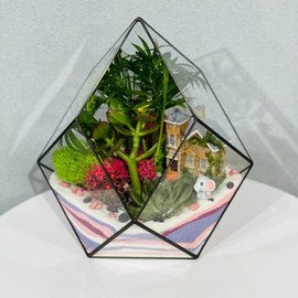 Florarium s rasteniyami