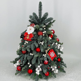 El_ iz nobilisa s dedom morozom i sankami 50 sm