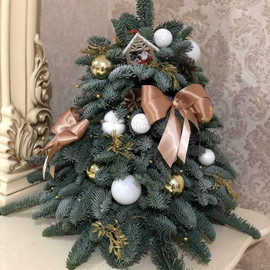 Елочка новогодняя из натурального лапника 50 см. Ёлочка из нобилиса