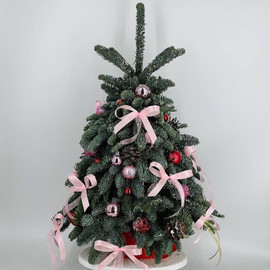 Inter_ernaya elka iz natural_nogo nobilisa 60 sm