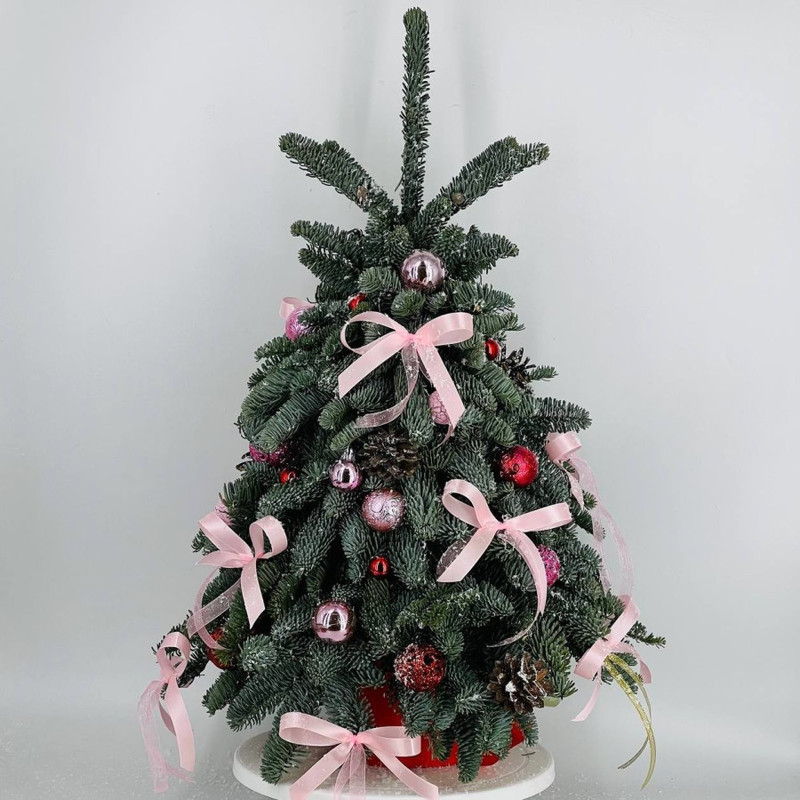 Интерьерная елка из натурального нобилиса 60 см, стандартный