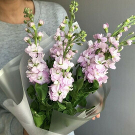 Ароматный букет из маттиол