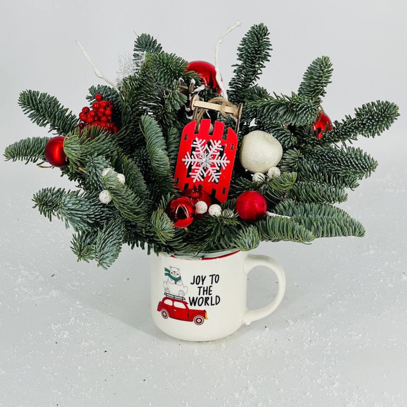 Novogodnyaya kompozitciya iz nobilisa v kruzhke, standart