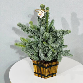 Дизайнерская ёлочка из натуральной хвои нобилис в стиле лофт 40 см