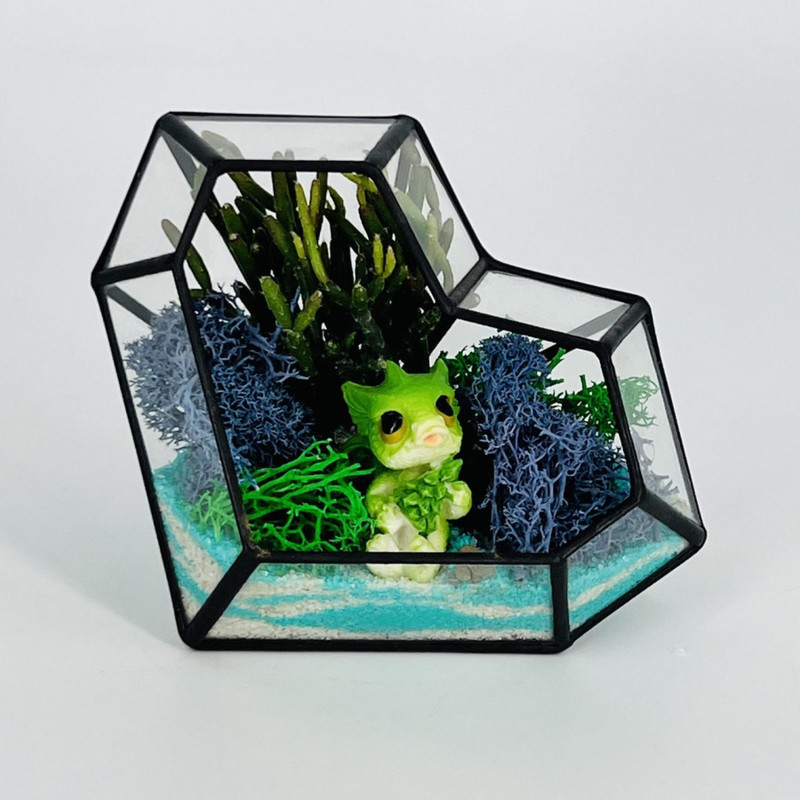 Florarium serdtce s  drakonchikom, standart