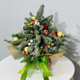 El_ dekorativnaya nastol_naya 30 iz nobilisa