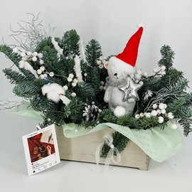 Nastol_naya kompozitciya iz nobilisa v yashike s figurkoj belij medved_ v shapke