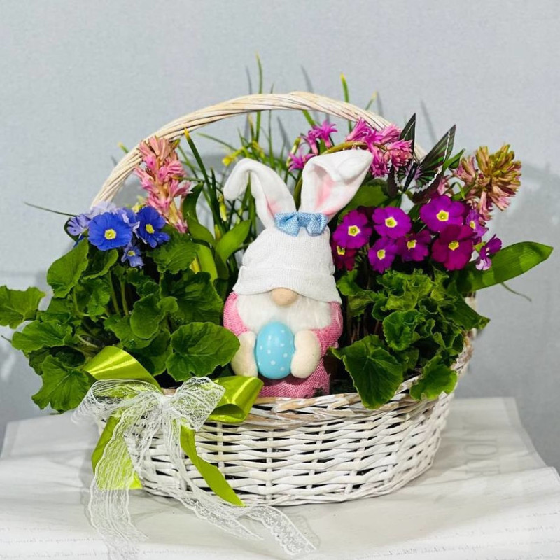Подарочная корзина цветущих первоцветов с сувениром гном. Примула, гиацинт, нарцисс, стандартный