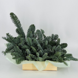 Kompozitciya iz natural_nogo nobilisa v derevyannom kashpo