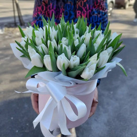 Тюльпаны белые