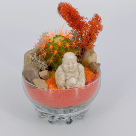 Kaktus v stekle s peskom. Florarium s suvenirom