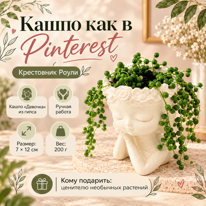 Комнатное растение Крестовник Роули в гипсовом кашпо девочка ручной работы, стандартный