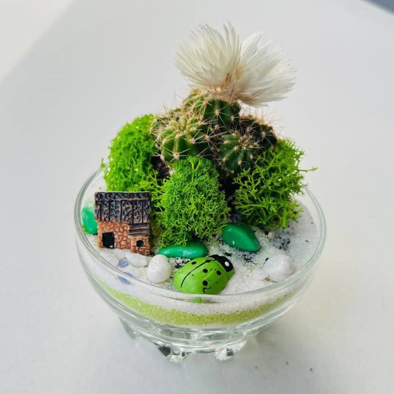 Nastol_naya oranzhereya v stekle. Mini florarium s kaktusom, standart