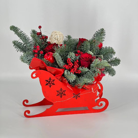 Интерьерная композиция из нобилиса в санках