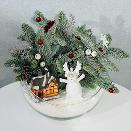 Настольная композиция на новый год из нобилиса, флорариум
